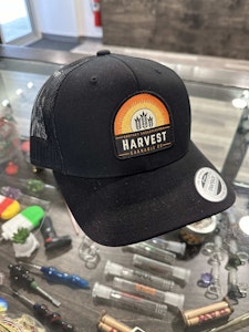 Sausage Dog Corporation - Embroidered Patch Hat - Black