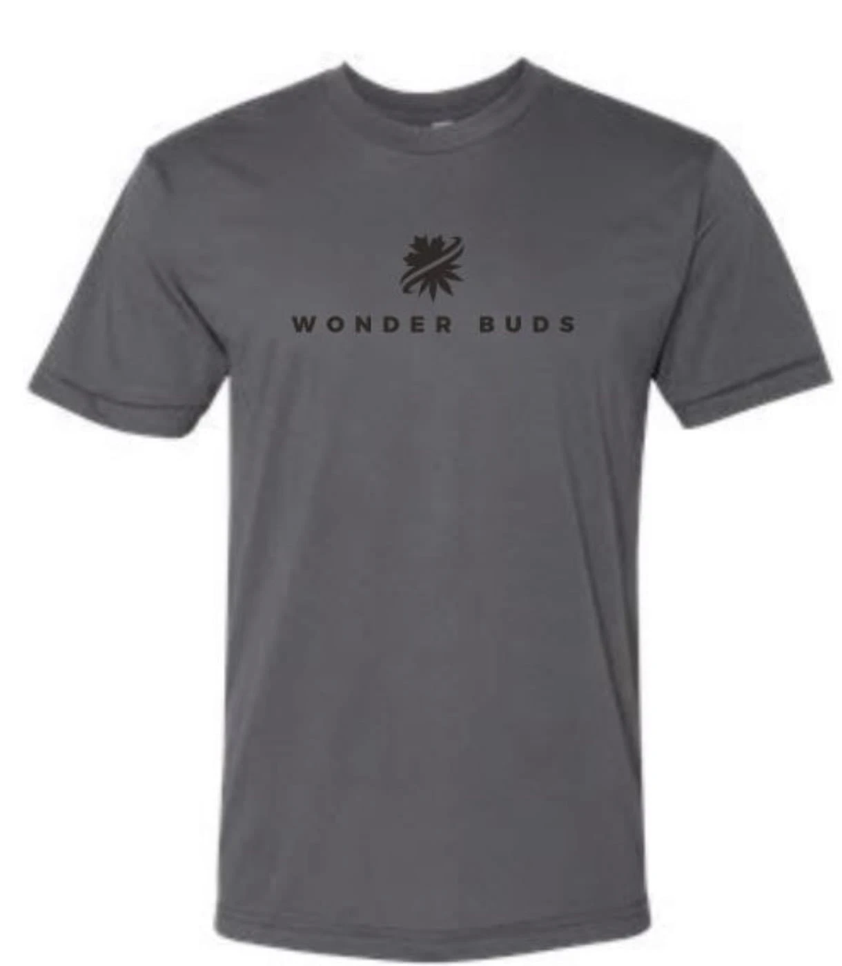 AdCentives Enterprises Ltd. - ATC Everyday Cotton Tee - Charcoal - L Main Image