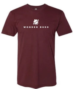 AdCentives Enterprises Ltd. - American Apparel Unisex Polycotton Tee - Cranberry - S