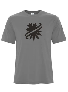 AdCentives Enterprises Ltd. - ATC Pro Spun Tee - Coal Grey - XL