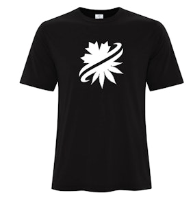 AdCentives Enterprises Ltd. - ATC Pro Spun Tee - Black - S