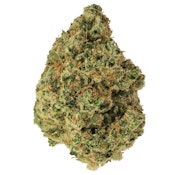 Acapulco Gold - Jonny Chronic - 14