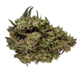 Orchid CBD - CBD Runtz - 3.5g