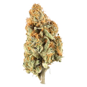 RETRO HAZE - RETRO HAZE - Lemon Haze 3.5g Dried Flower