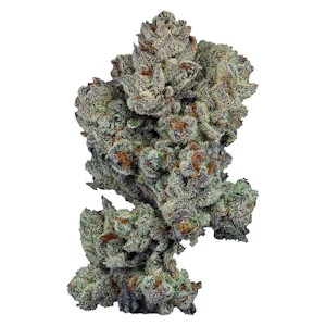 NATURAL HISTORY - Small Batch Craft 7g Dried Flower