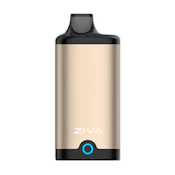 GOLD ZIVA INCOGNITO BATTERY - YOCAN