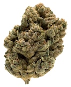 Jungl' Cake | 14g