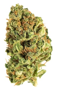 Good Supply - Jean Guy - 3.5g - THC:24%