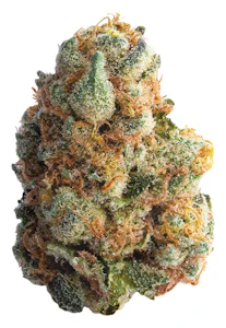 Spinach - GMO Cookies - 3.5g - THC:30.4%