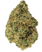 ACAPULCO GOLD - 14