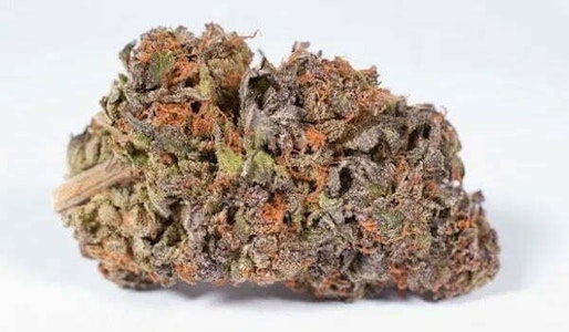 Potluck - 7g Blueberry Tart