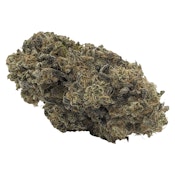 Pave RNTZ 3.5g Dried Flower