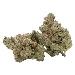Cactus - Black Triangle 3.5g Dried Flower