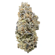 Naked Mummer | Nebula Runtz | 3.5g