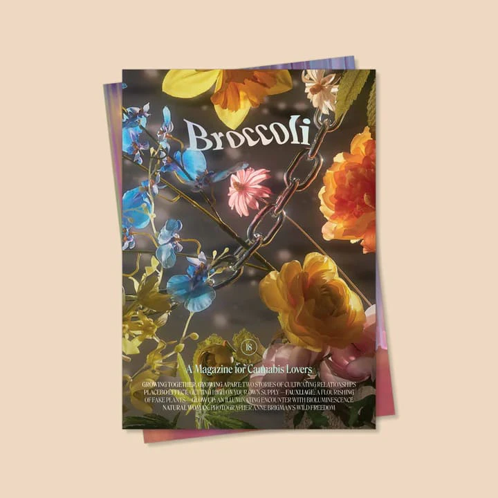 Broccoli Mag - Broccoli Mag Issue 18 Main Image