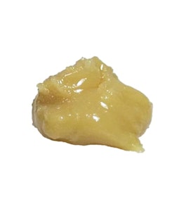 Dabble Cannabis Co.  - Dabble Cannabis Co. - Dabbleberry Live Rosin (1g)