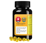 Glacial Gold - Balanced 10:10 Softgels (50pc)