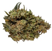 Orchid CBD - CBD Runtz (3.5g)