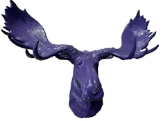 Painted/Fabric Moose Head