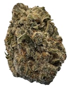 BC Purple Kush | 28g