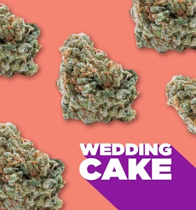 Spinach - Wedding Cake 10 x 0.35g Pre-Rolls