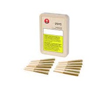 Divvy - Sour Kush - 12 x 0.35g