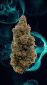 BC ORGANIC JELLY BREATH LTO - 14