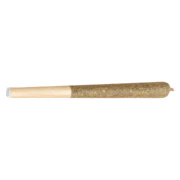 Banana Daddy Pre-Roll 1x1g