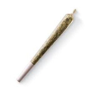 Just Kush - DURBAN LEMON