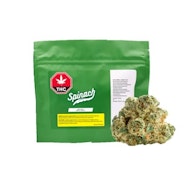 Space Cake 3.5G