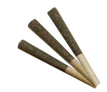 MAGI - SALT SPRING LOVE HAZE PRE-ROLLS - 1.5