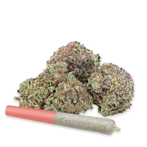 Highly Dutch - Rotterdam Indica 28 g Dried Flower