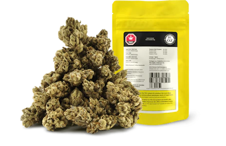 BC OZ - BC OZ - Jean Clouds Van Damme