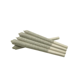 Casa Di Fiore - Casa Di Fiore - Gustavo Uva (Platinum Grape x Blueberry OG) Pre-Roll