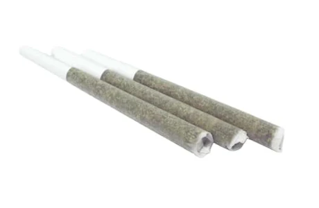 Orchard - ISLAND OJ PRE-ROLLS - 1.5