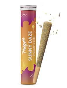 Fuego - Sunny Daze 2 x 1g Pre-Rolls