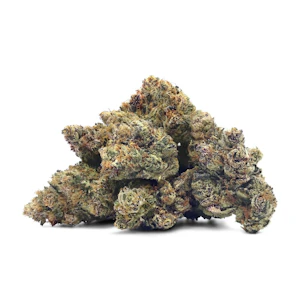 Dunesberry Farms - Dunesberry Farms - Cactus Breath x Garlic Sherbert LTO