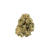 Western Face Off Star 3.5g