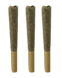 JBuds Craft Cannabis - SOUR DRAGON PRE-ROLLS | JBuds Craft Cannabis - 3 x 0.5g | Rest