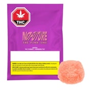 No Future - The Pink One (1pc)