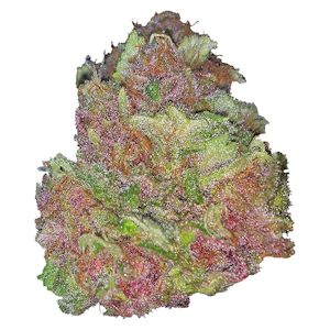 Silky Continental - Tropical Papaya 7g- Silky Continental