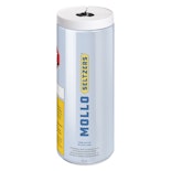 Lemon Seltzer 355ml Beverages