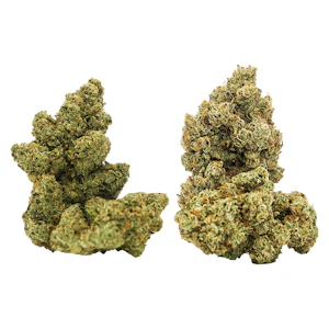 Noodz - Noodz - Double Trouble 7g Dried Flower