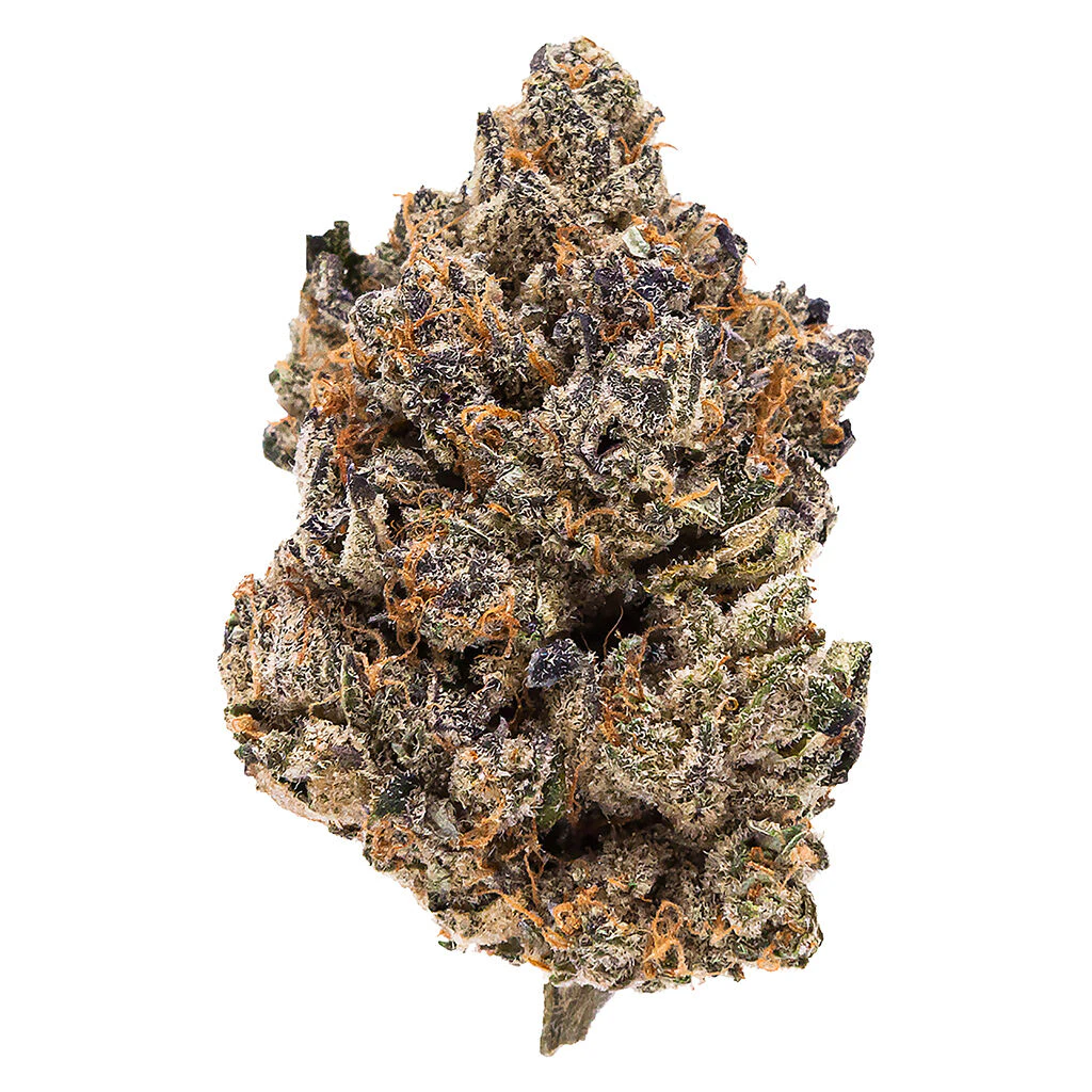 fuga - Sorbetto Sunset LSO 3.5g Dried Flower Main Image
