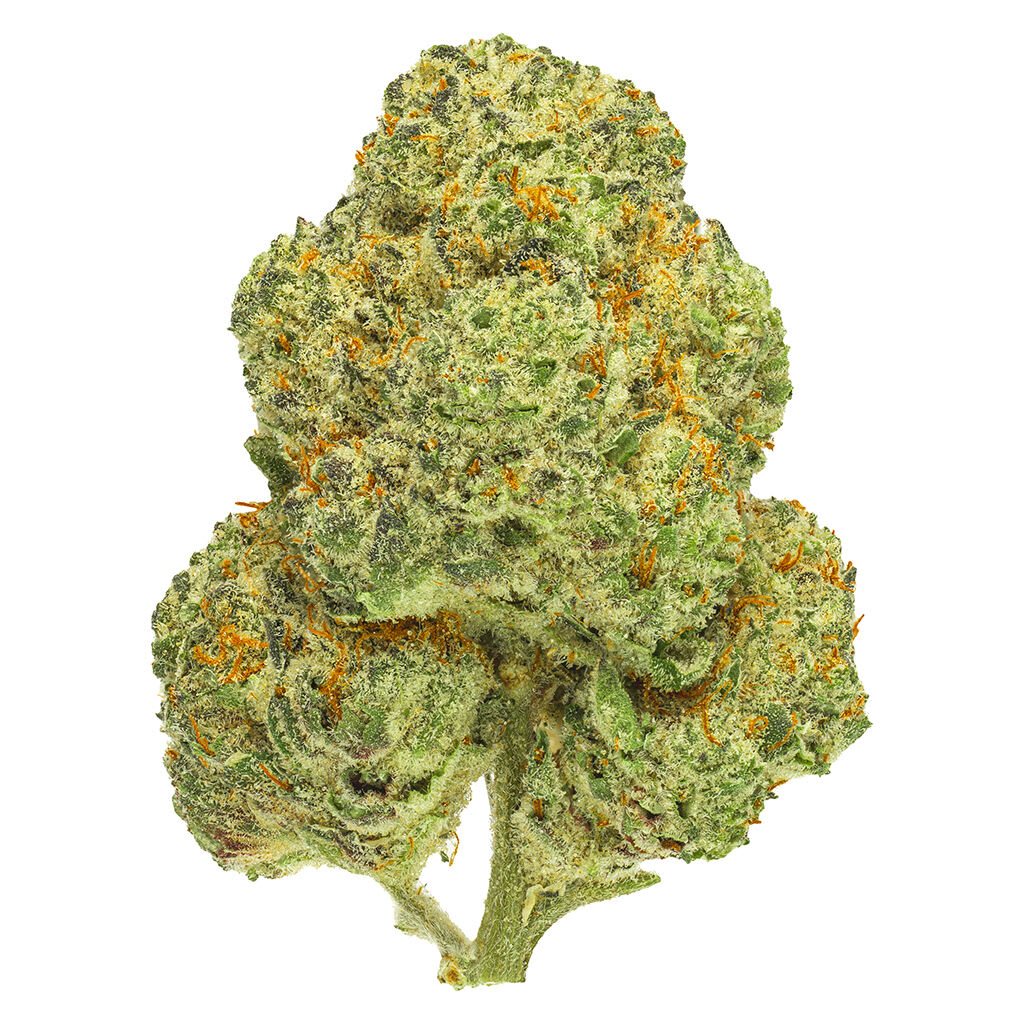 Chemango Kush - (OG Kush & Wedding Cake) X (GMO & Fuel) 14g Flower