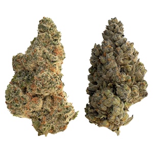 The Loud Plug - Splitter 28g Dried Flower