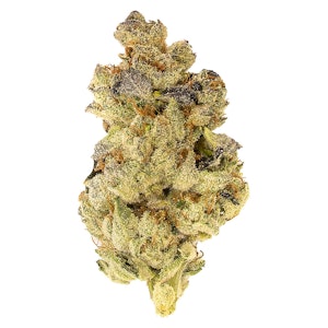 5 Points Cannabis - 5 Points Mosa Orange Punch 3.5g