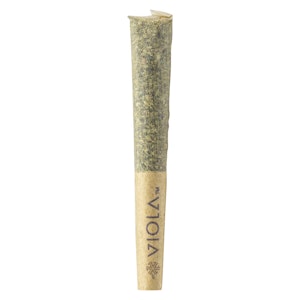 Viola - Bucketz Loosies - Viola - Sativa Pre-rolls 10x0.3g