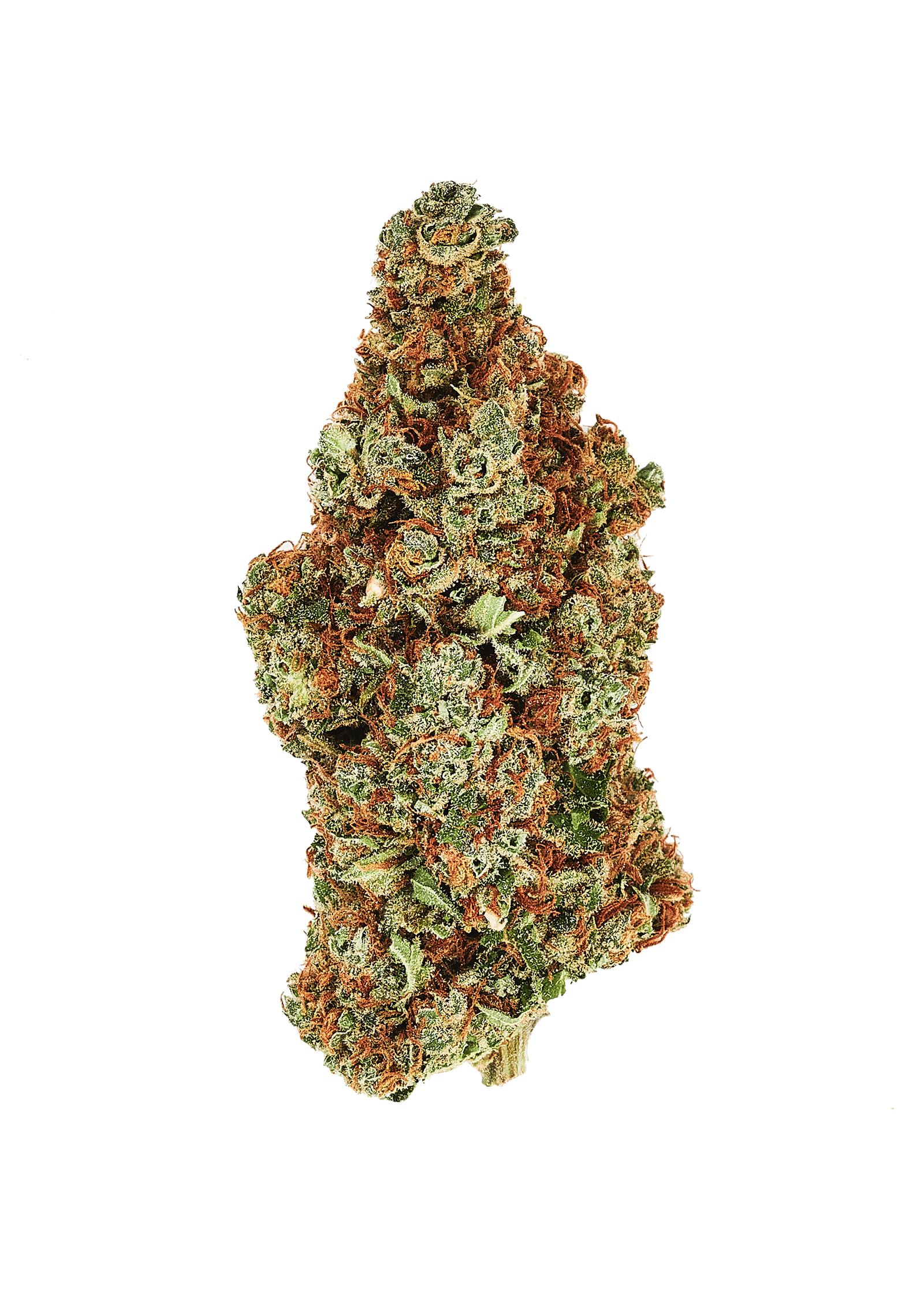 5 Points - 5 Points| Mango 3.5g | Balance Main Image