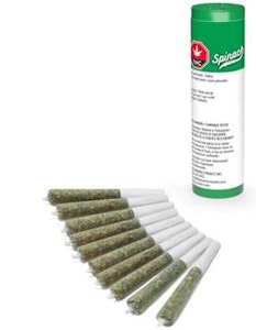 Spinach - Kiwi Lime Punch 10 x 0.35g Pre-Rolls